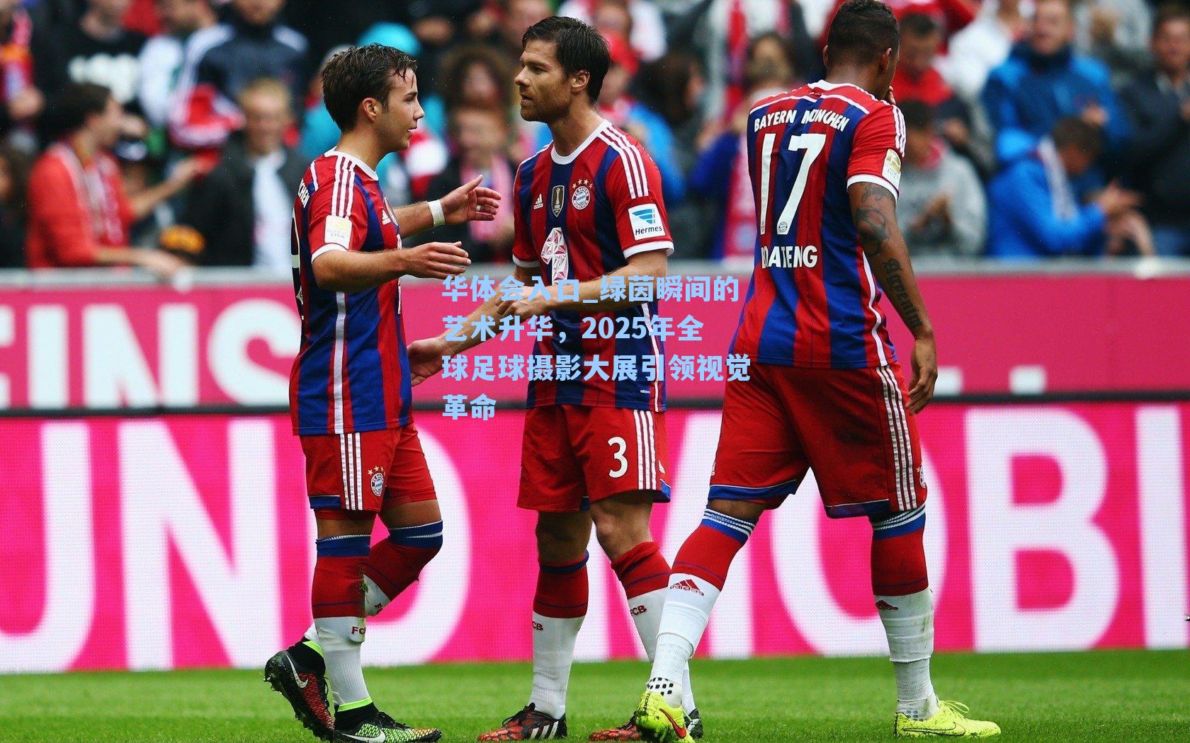 绿茵瞬间的艺术升华，2025年全球足球摄影大展引领视觉革命