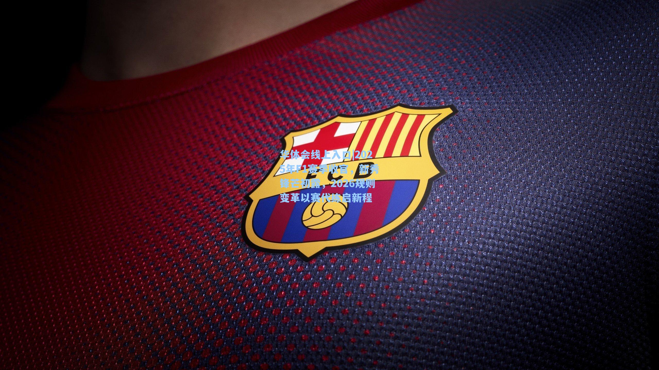 2025年F1赛季收官,新秀锋芒初露,2026规则变革以赛代练启新程