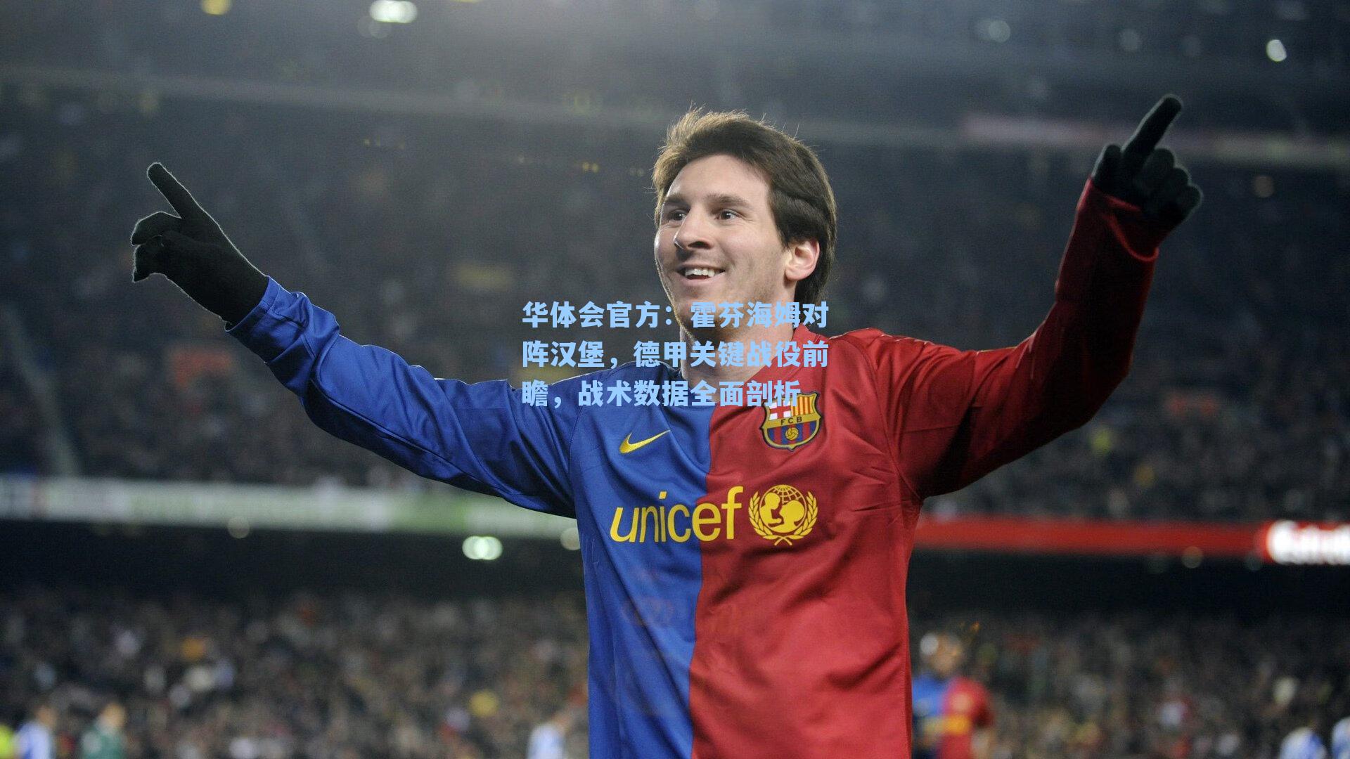 霍芬海姆对阵汉堡,德甲关键战役前瞻,战术数据全面剖析