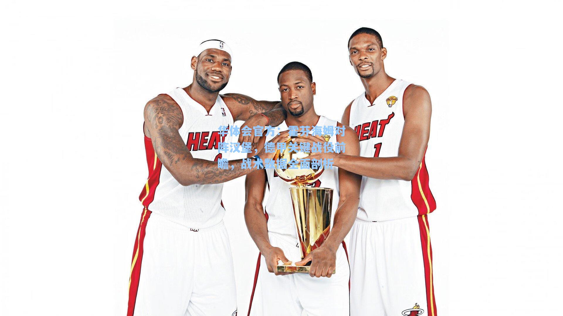 霍芬海姆对阵汉堡,德甲关键战役前瞻,战术数据全面剖析